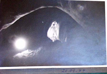 German guard w/flashlight in tunnel at Stalag Luft I.