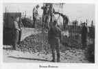 Potatoes for prisoners at Stalag Luft I POW camp during world war II