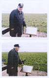 Sam Webster looks at memorial at the site of his B-24 crash in World War II.